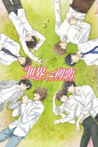 世界第一初恋 poster