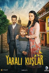 Yaralı Kuşlar poster