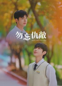 勿忘仇敌 poster