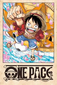 One Pace poster