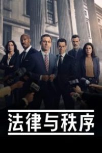 法律与秩序 poster