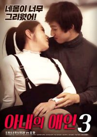 妻子的情人3 poster
