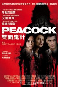 孔雀镇 poster
