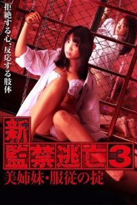 新·监禁逃亡3：美丽姐妹的屈服法则 poster
