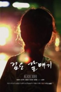 黑鸽子 poster