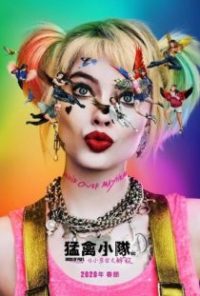 猛禽小队和哈莉·奎茵 poster