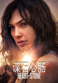谍之心 poster