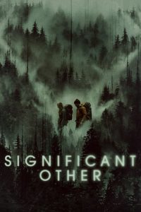 另一半 poster