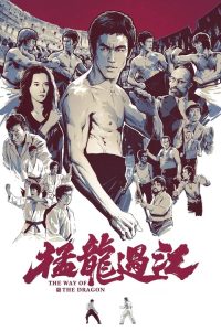猛龙过江 poster