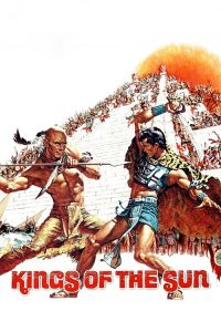 太阳王 poster