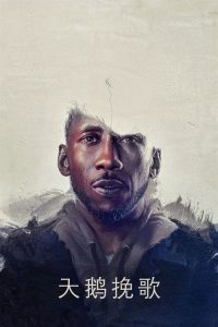 天鹅挽歌 poster