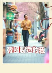 韩国制造的我 poster