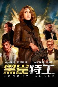 黑雀特工 poster