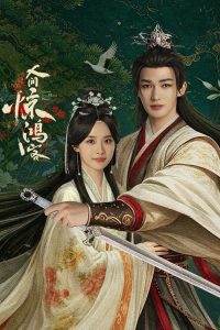人间惊鸿客 poster