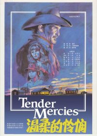 温柔的怜悯 poster