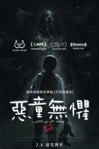 无惧之虎 poster