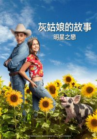 灰姑娘的故事：明星之恋 poster