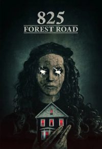 825号森林公路 poster