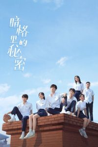 暗格里的秘密 poster