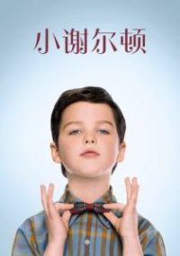 小谢尔顿 poster