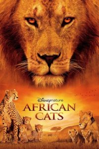 非洲猫科 poster