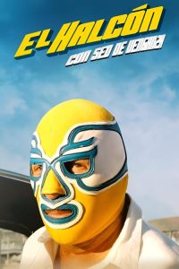 猎鹰：渴望复仇 poster