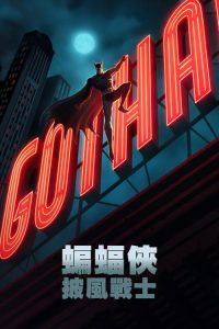 蝙蝠侠：披风斗士 poster