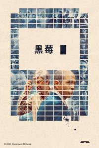 黑莓传奇 poster