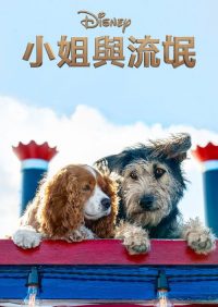 小姐与流浪汉 poster