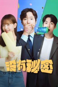 没有秘密 poster