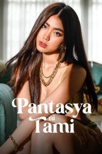 塔米的幻想 poster