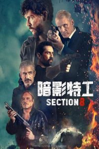 暗影特工 poster