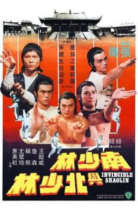 南少林与北少林 poster