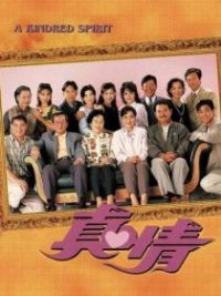 真情 poster