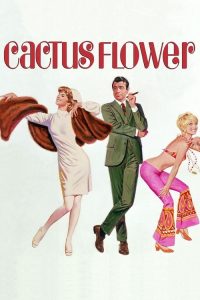 仙人掌花 poster