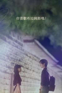 你喜欢勃拉姆斯吗 poster