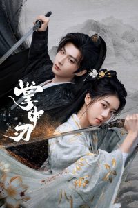 掌中刃 poster