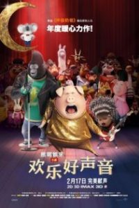 欢乐好声音 poster