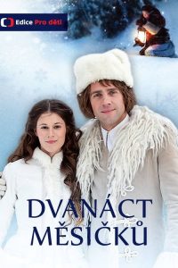 Dvanáct měsíčků poster