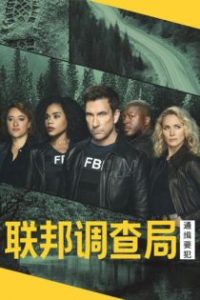 联邦调查局：通缉要犯 poster