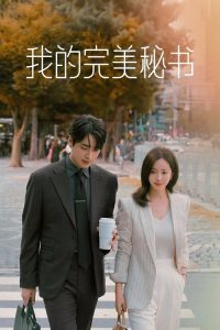 我的完美秘书 poster