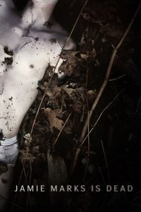 死后的关怀 poster