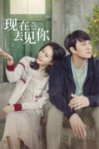 现在去见你 poster