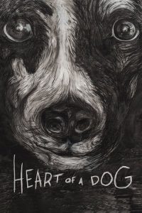 狗心 poster