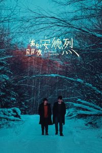 我的朋友安德烈 poster