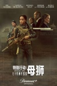 特别行动：母狮 poster
