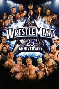 WWE 摔角狂热 25 poster