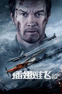 插翅难飞 poster