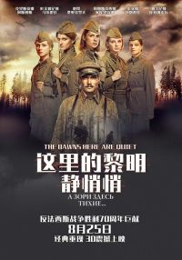 这里的黎明静悄悄 poster