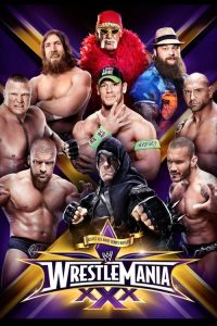 WWE 摔角狂热 30 poster
